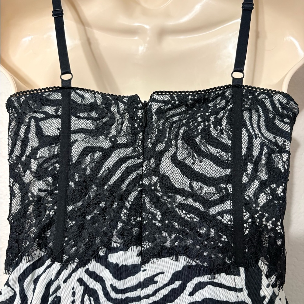Mesh Body con Semi Sheer Black White Zebra Print Dress w Bustier Type Lace Top - Picture 7 of 13